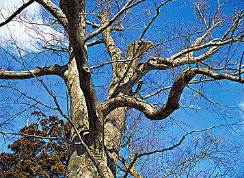 《绝地潜兵2》总监针对DEI发言 反而把自己拖进了战场